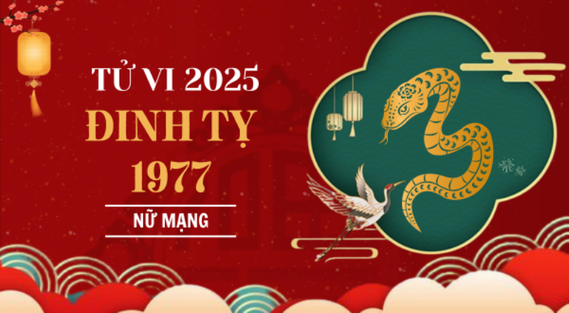 Vận trình tử vi tuổi Đinh Tỵ 1977 nam mạng năm 2021 có thể đối mặt thử thách và cơ hội